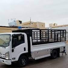 رقم دينا نقل عفش في تبوك
